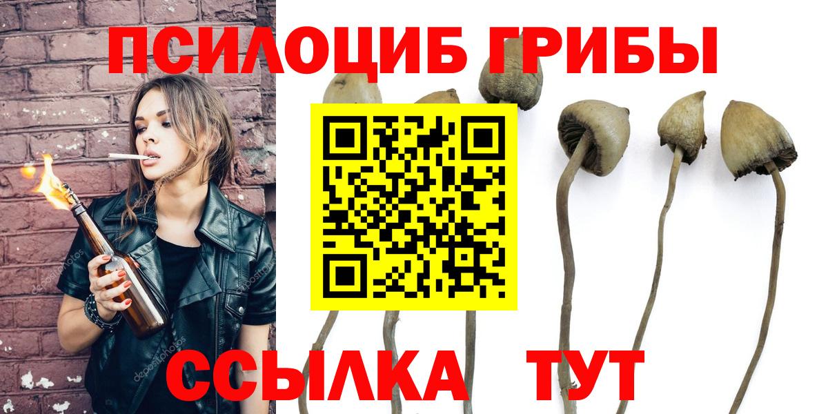 где купить наркоту  Вход с VPN  Алапаевск  Псилоцибиновые грибы Psilocybine cubensis  Галлюциногенные грибы мицелий 