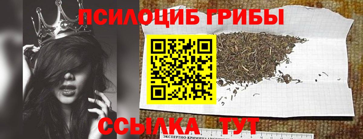 Псилоцибиновые грибы Cubensis Алапаевск